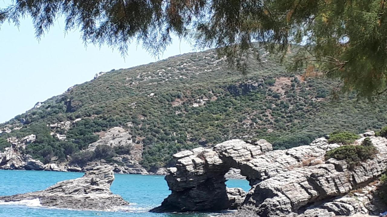 Ellina'S Home - Euboea Island Greece Oxilithos ภายนอก รูปภาพ