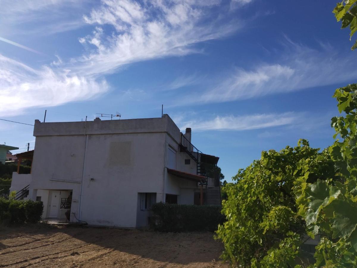 Ellina'S Home - Euboea Island Greece Oxilithos ภายนอก รูปภาพ